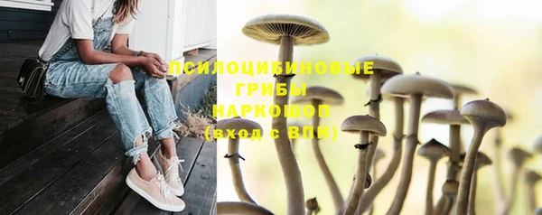 трава Алексеевка