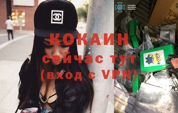 крисы Осташков