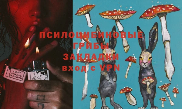 стаф Алексин